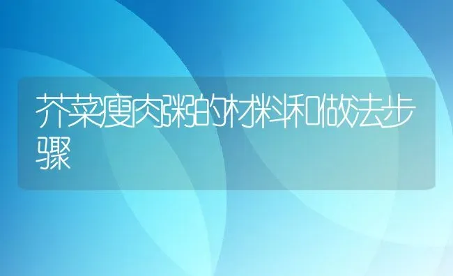 芥菜瘦肉粥的材料和做法步骤 | 养殖资讯