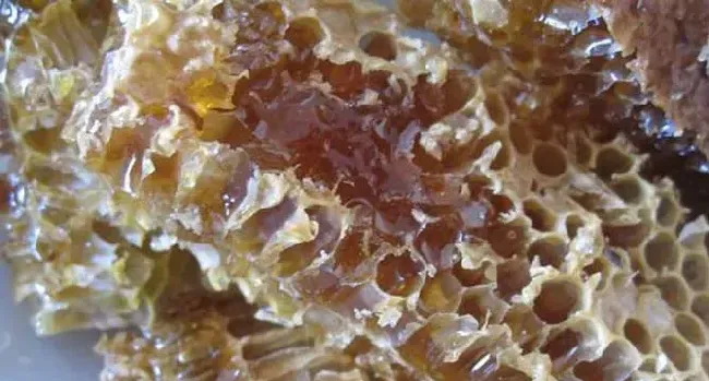 常见的蜂蜜有几种
