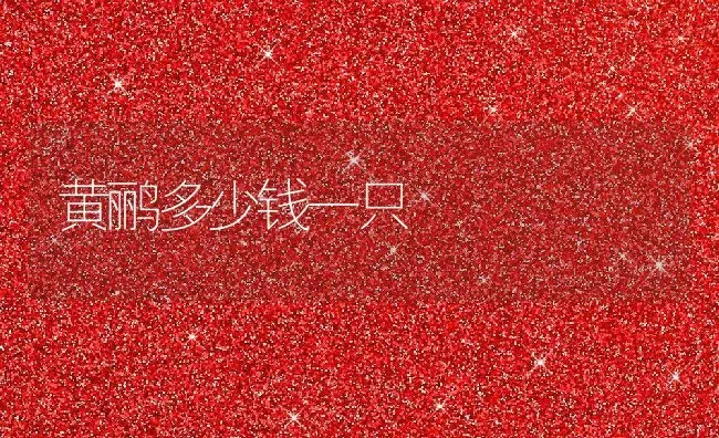 黄鹂多少钱一只 | 养殖资讯