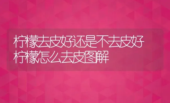 柠檬去皮好还是不去皮好 柠檬怎么去皮图解 | 养殖资料投稿