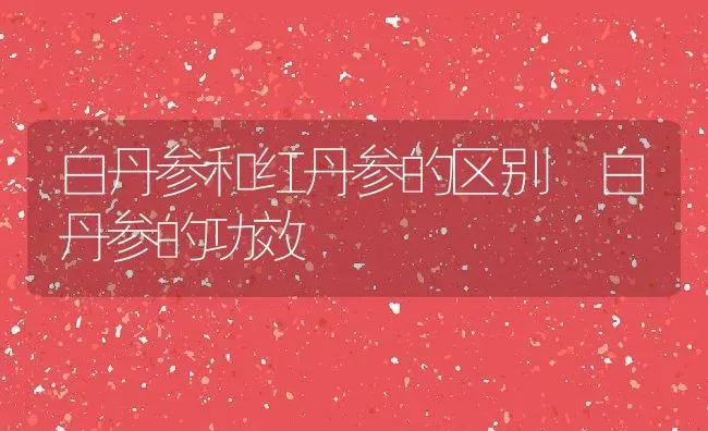 白丹参和红丹参的区别 白丹参的功效 | 养殖资料投稿