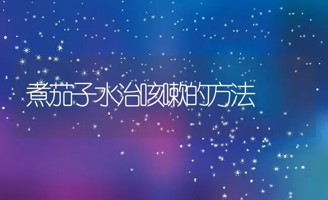 煮茄子水治咳嗽的方法 | 养殖资料投稿