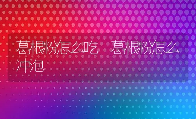 葛根粉怎么吃 葛根粉怎么冲泡 | 养殖资料投稿