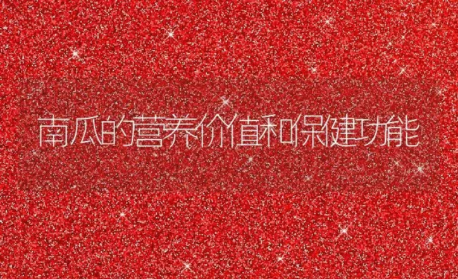 南瓜的营养价值和保健功能 | 养殖资料投稿