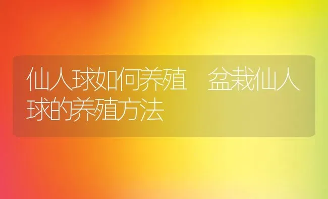 仙人球如何养殖 盆栽仙人球的养殖方法 | 养殖资料投稿