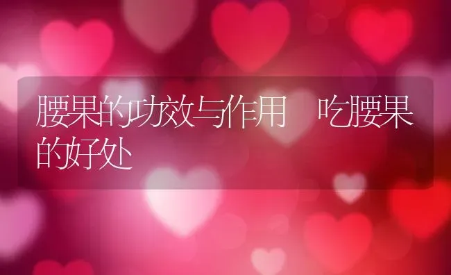 腰果的功效与作用 吃腰果的好处 | 养殖资料投稿
