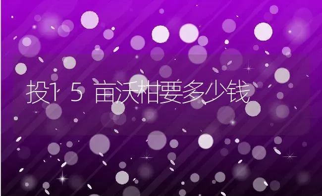 投15亩沃柑要多少钱 | 养殖资讯