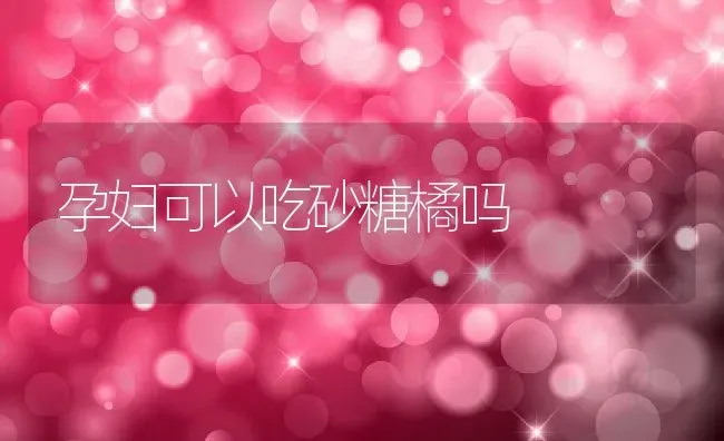 孕妇可以吃砂糖橘吗 | 养殖资料投稿