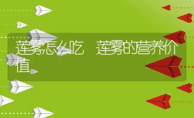 莲雾怎么吃 莲雾的营养价值 | 养殖资料投稿