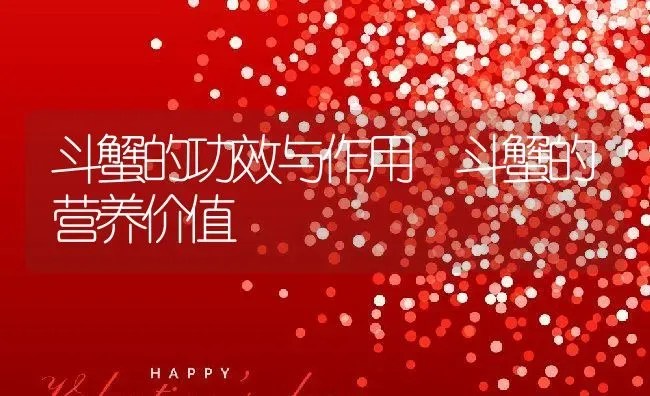 斗蟹的功效与作用 斗蟹的营养价值 | 养殖资料投稿