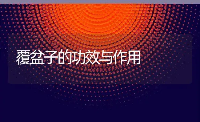 覆盆子的功效与作用 | 养殖资料投稿