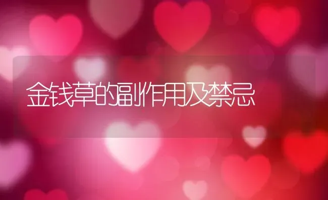 金钱草的副作用及禁忌 | 养殖资料投稿