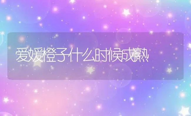 爱媛橙子什么时候成熟 | 养殖资讯