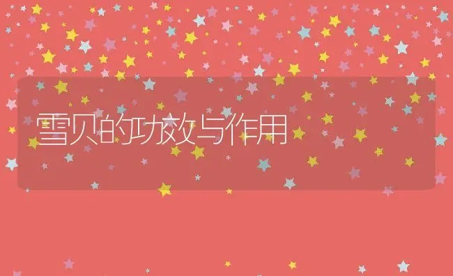 雪贝的功效与作用 | 养殖资料投稿