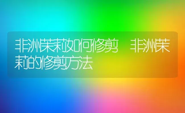 非洲茉莉如何修剪 非洲茉莉的修剪方法 | 养殖资料投稿