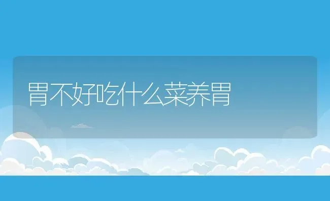 胃不好吃什么菜养胃 | 养殖资料投稿
