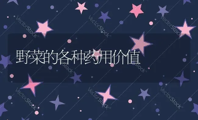 野菜的各种药用价值 | 养殖资料投稿