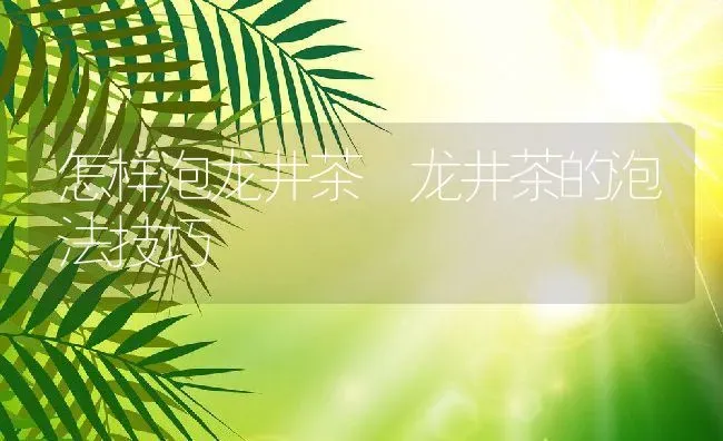 怎样泡龙井茶 龙井茶的泡法技巧 | 养殖资料投稿