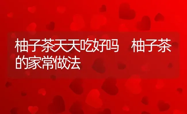 柚子茶天天吃好吗 柚子茶的家常做法 | 养殖资料投稿