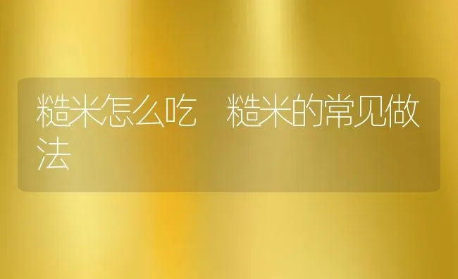 糙米怎么吃 糙米的常见做法 | 养殖资讯
