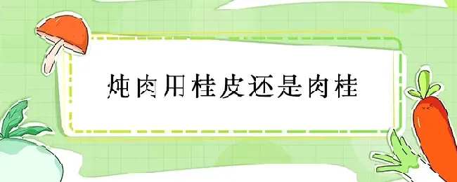 炖肉用桂皮还是肉桂