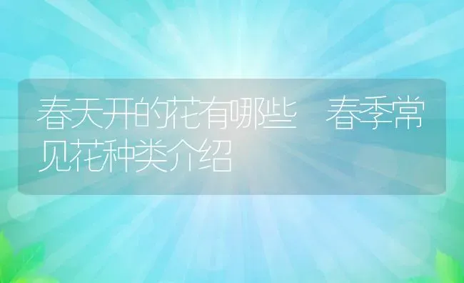 春天开的花有哪些 春季常见花种类介绍 | 养殖资料投稿