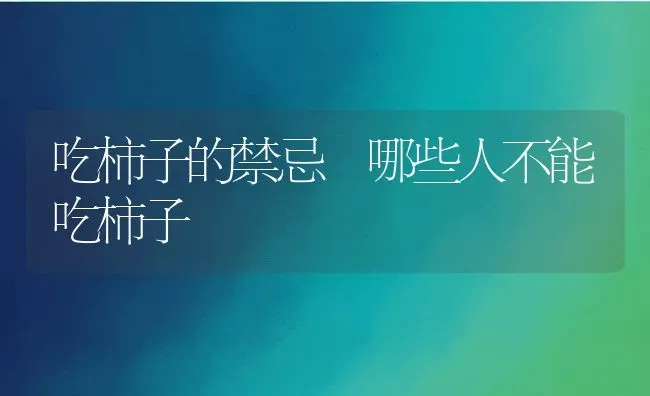 吃柿子的禁忌 哪些人不能吃柿子 | 养殖资料投稿