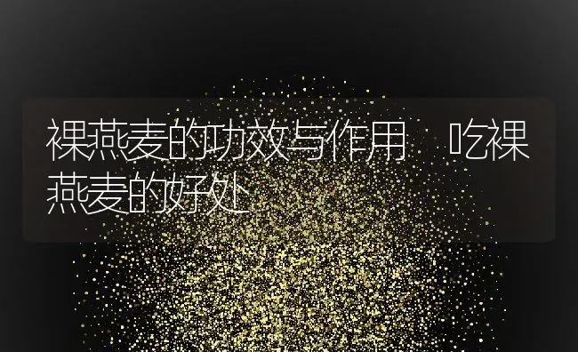 裸燕麦的功效与作用 吃裸燕麦的好处 | 养殖资讯