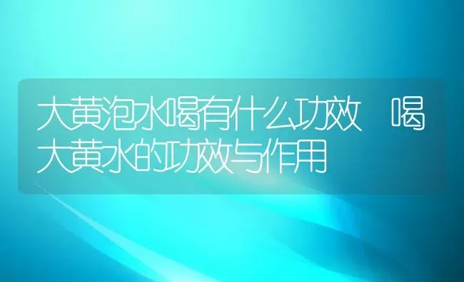 大黄泡水喝有什么功效 喝大黄水的功效与作用 | 养殖资料投稿