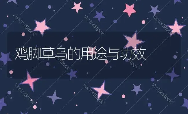 鸡脚草乌的用途与功效 | 养殖资料投稿