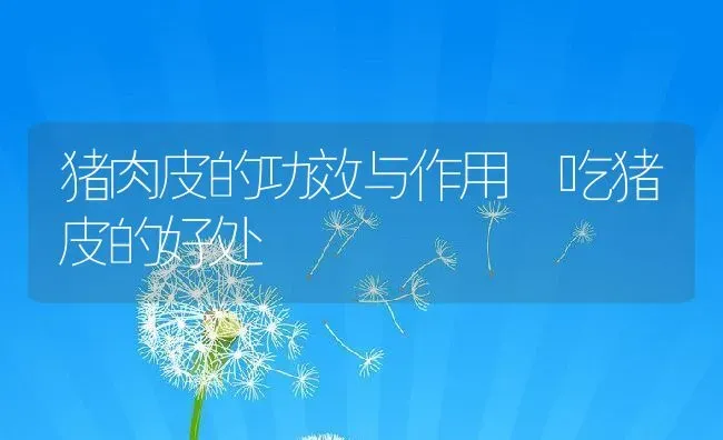 猪肉皮的功效与作用 吃猪皮的好处 | 养殖资料投稿