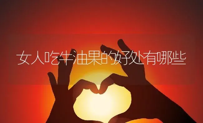 女人吃牛油果的好处有哪些 | 养殖资料投稿
