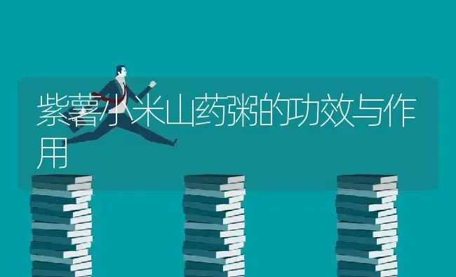 紫薯小米山药粥的功效与作用 | 养殖资讯