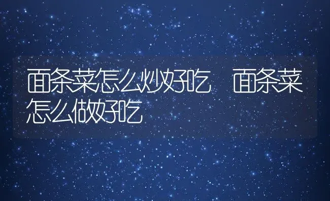 面条菜怎么炒好吃 面条菜怎么做好吃 | 养殖资料投稿