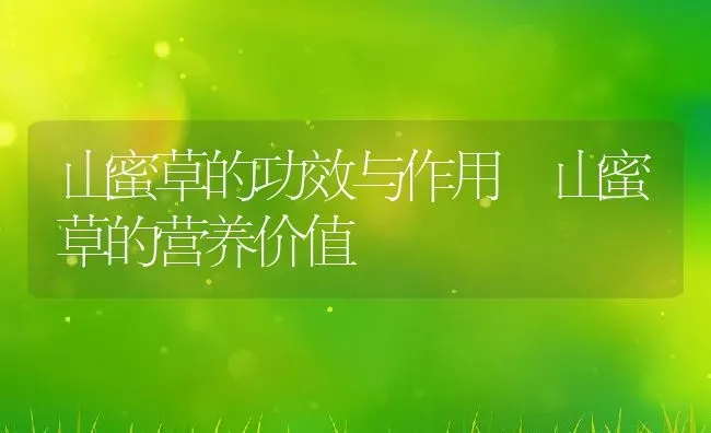山蜜草的功效与作用 山蜜草的营养价值 | 养殖资料投稿