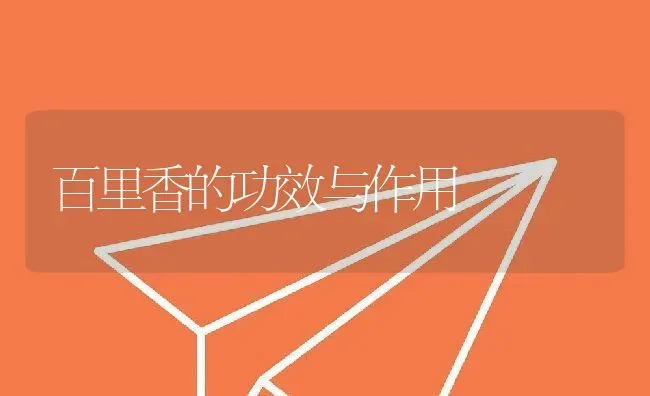 百里香的功效与作用 | 养殖资料投稿
