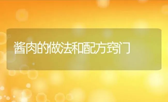 酱肉的做法和配方窍门 | 养殖资料投稿