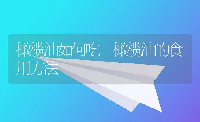 橄榄油如何吃 橄榄油的食用方法 | 养殖资料投稿