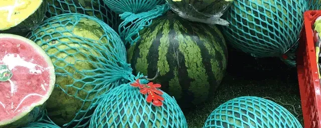 大棚西瓜8424种植技术