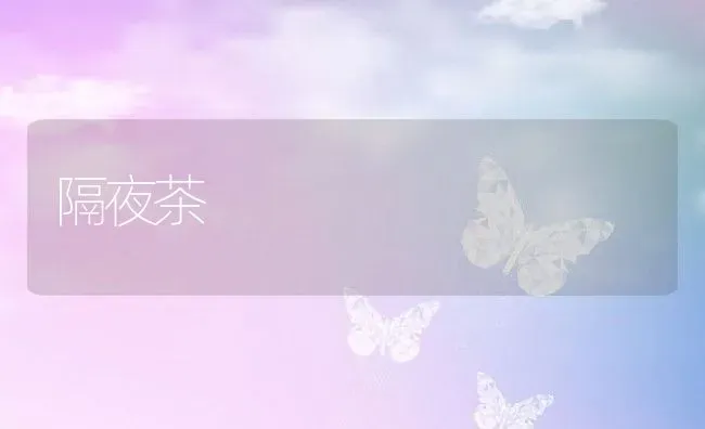 隔夜茶 | 养殖资料投稿