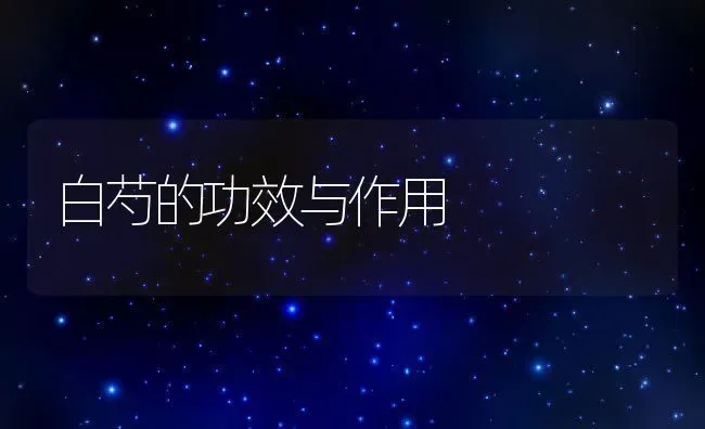 白芍的功效与作用 | 养殖资料投稿