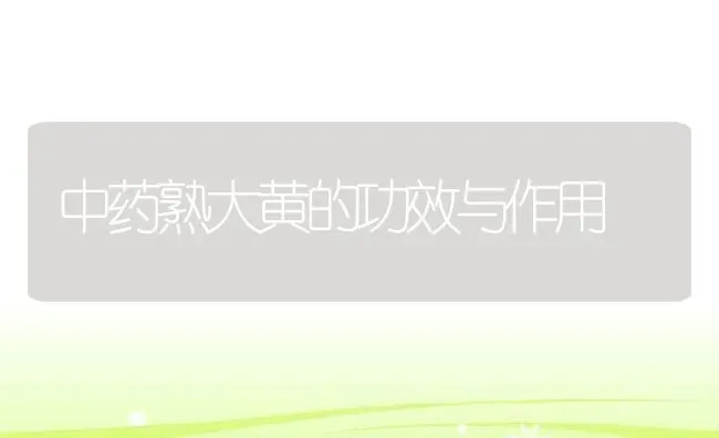 中药熟大黄的功效与作用 | 养殖资料投稿