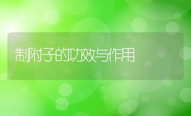 制附子的功效与作用 | 养殖资料投稿