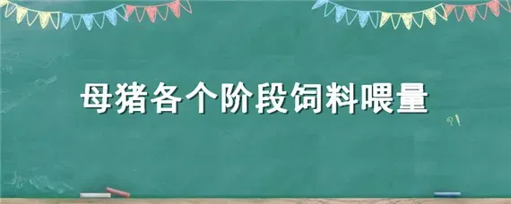 母猪各个阶段饲料喂量