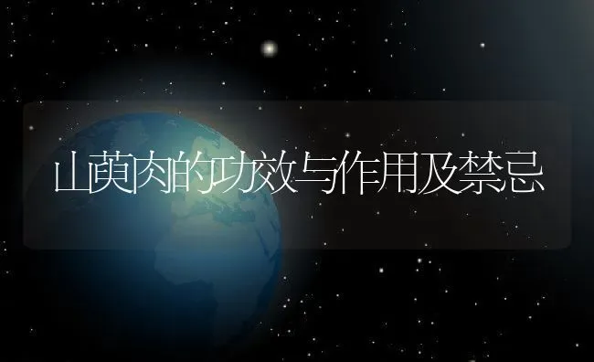 山萸肉的功效与作用及禁忌 | 养殖资料投稿