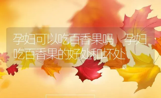 孕妇可以吃百香果吗 孕妇吃百香果的好处和坏处 | 养殖资料投稿