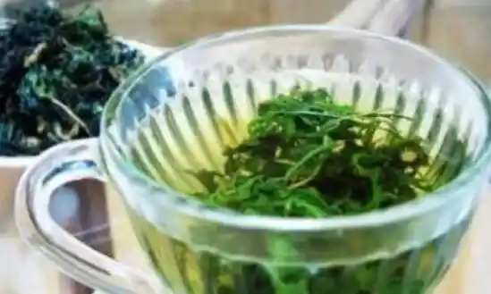 泡苦菜茶有什么好处 泡苦菜茶的禁忌
