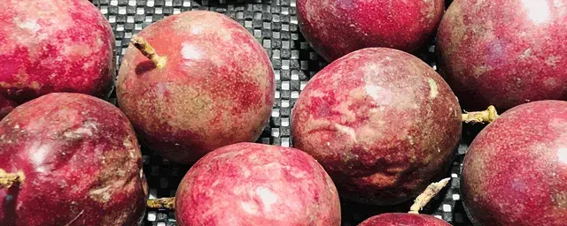 种百香果能赚钱吗