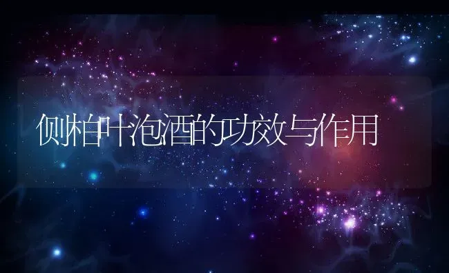 侧柏叶泡酒的功效与作用 | 养殖资料投稿