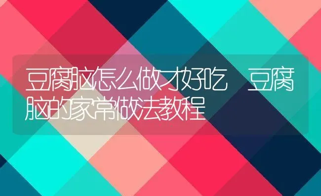 豆腐脑怎么做才好吃 豆腐脑的家常做法教程 | 养殖资料投稿